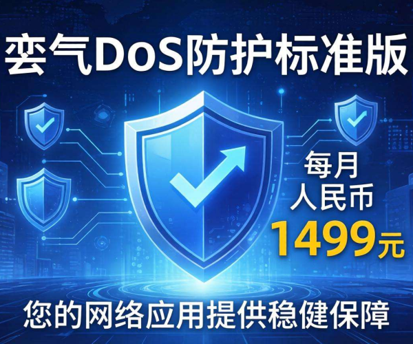 Azure DDoS防护标准版月付价格揭秘