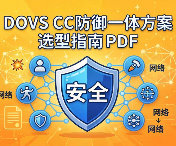 DDoS CC防御一体方案选型指南PDF：关键要点与实用建议