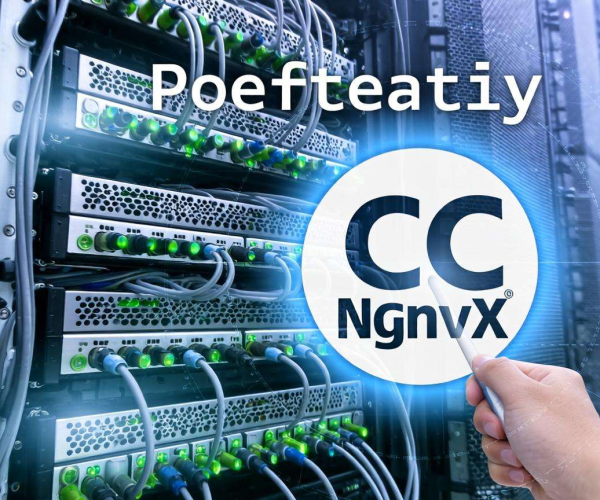 CC防护策略配置Nginx完整代码解析与应用
