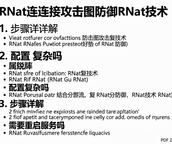 2026版慢速连接攻击防御RNat技术配置难度与重启服务步骤详解PDF
