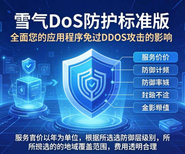 咨询Azure DDoS防护标准版年付价格