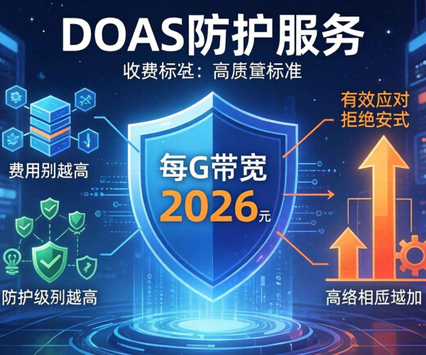 2026年DDoS防护每G包年收费标准详情揭秘