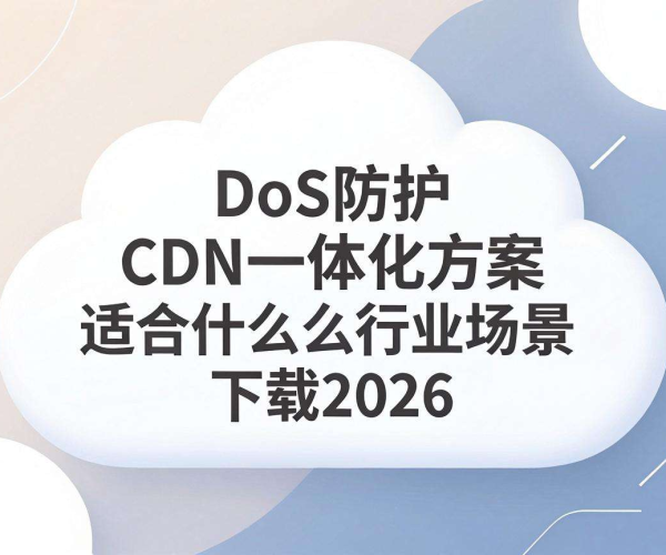 DDoS防护CDN一体化方案适用行业场景及政务云标准白皮书2026下载