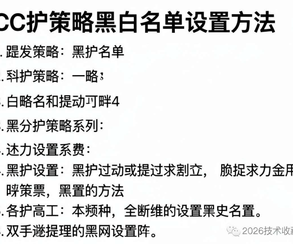 CC防护策略黑白名单设置方法步骤截图 2026技术收藏