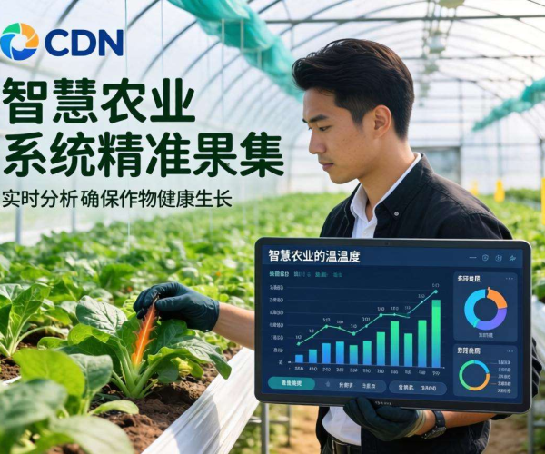 亚太CDN助力智慧农业：精准采集温湿度数据保障作物生长