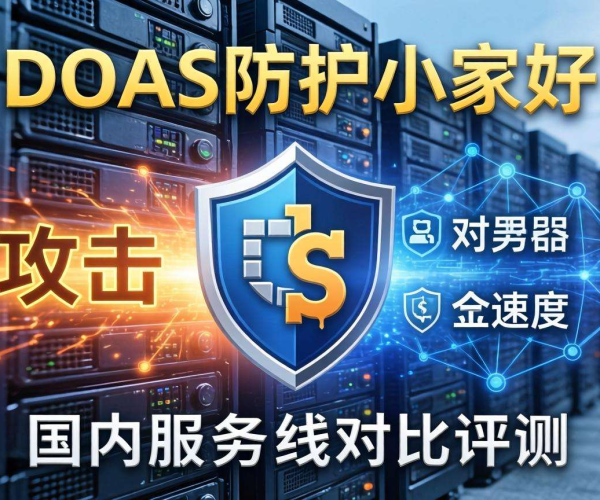 国内DDoS防护哪家强？全面对比评测告诉你答案