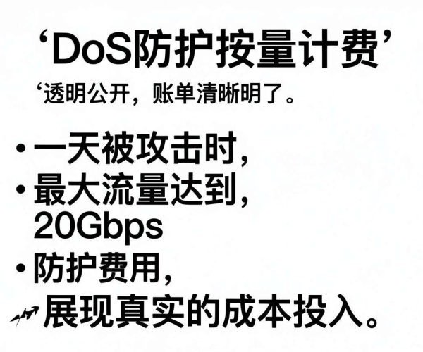 DDoS防护按量计费贵吗？2026一天被攻击花费账单截图公开透明