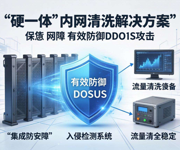 企业网络DDoS防御：内网清洗软硬一体解决方案