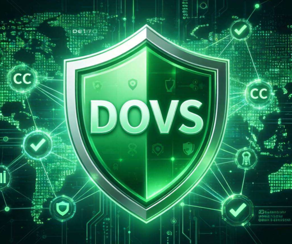 DDoS与CC同时防护配置实例教程：保障网络安全的实操指南