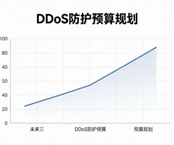 企业DDoS防护预算规划：用有限预算筑牢安全防线