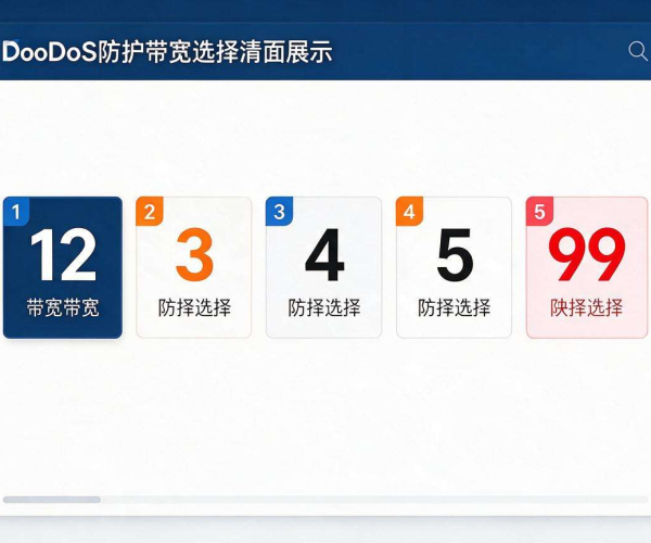 企业DDoS防护带宽选择核心要点与场景适配指南