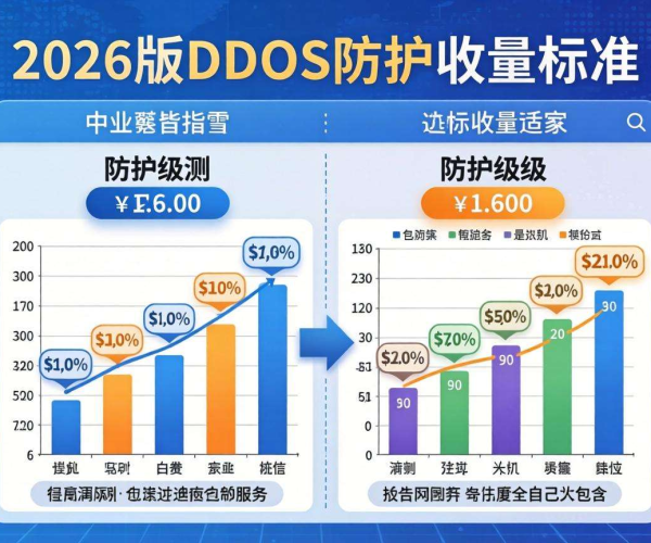 2026版DDoS防护收费标准，揭秘行业最新价格体系