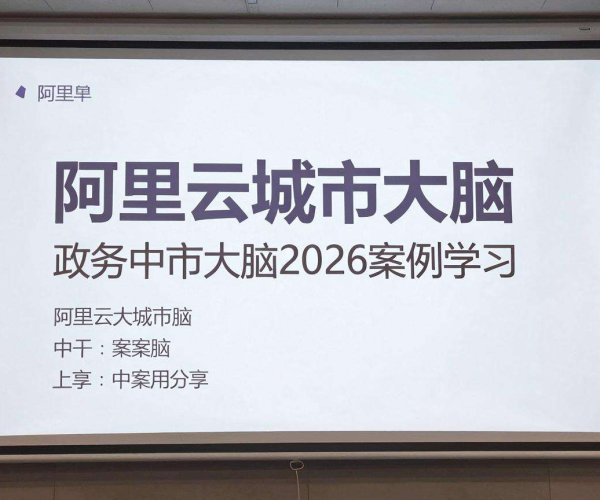 CDN在政务应用案例分享：阿里云城市大脑2026案例学习