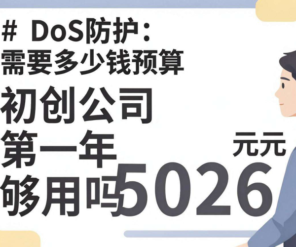 2026年初创公司DDoS防护5000元预算第一年够用吗？分析来了