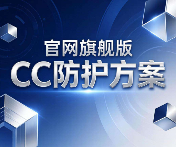 CC防护方案选型：企业官网旗舰版的卓越之选