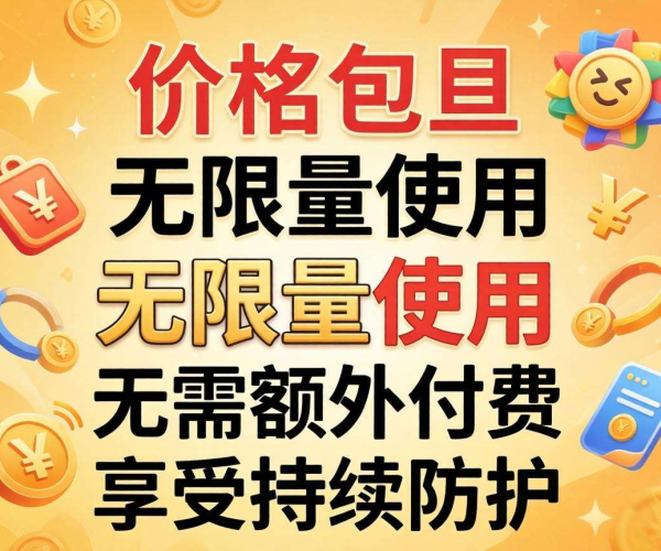 CC防护价格包月大揭秘，为你的网络安全提供高性价比方案