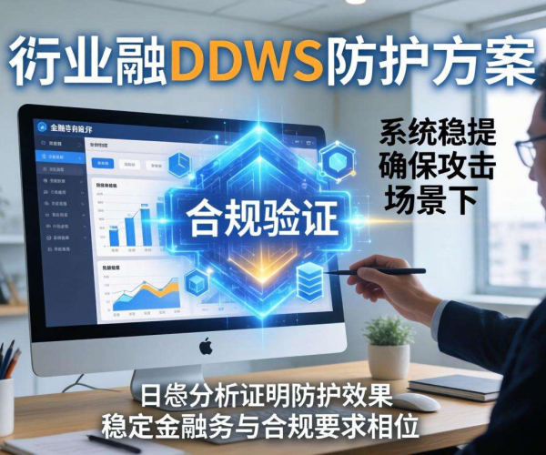 金融行业DDoS防护方案：确保合规性的关键策略与实践