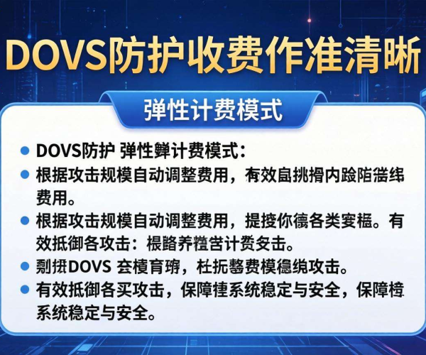 DDoS防护收费标准大揭秘，不同方案费用差异全知晓