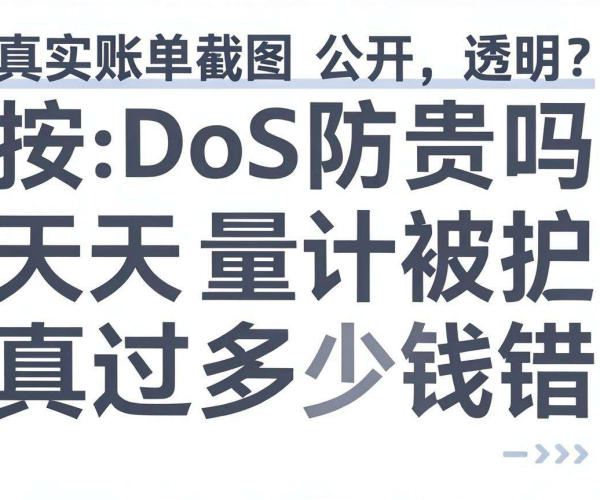 DDoS防护按量计费贵不贵？一天被攻击花费金额真实账单截图公开