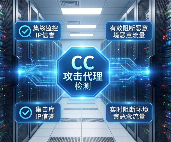 代理CC攻击IP信誉库商业库：为网络安全筑牢坚实防线