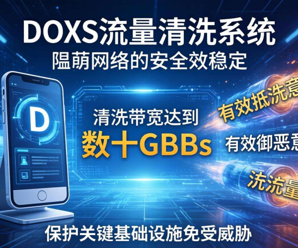 DDoS流量清洗带宽要求与安全系数：保障网络安全的关键考量