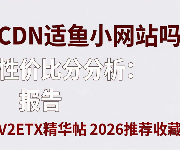 CDN适合小网站吗？性价比分析报告V2EX精华帖2026推荐收藏