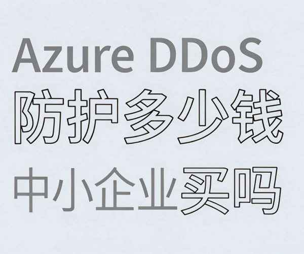 Azure DDoS防护2026成本分析：中小企业购买价值对比报告PDF下载