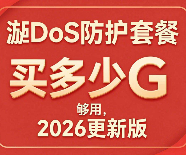 DDoS防护套餐游戏行业规格建议 2026 版：买多少G够用经验值参考