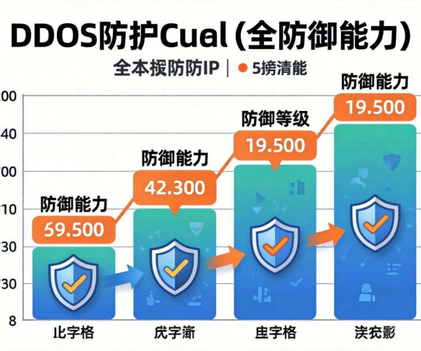 DDoS高防IP价格大揭秘：影响因素与性价比分析