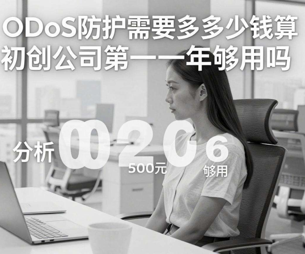 2026年初创公司DDoS防护，5000元预算第一年够用吗？