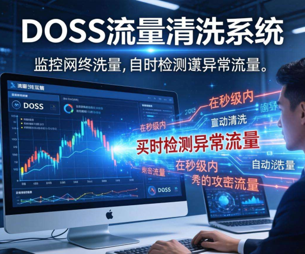 DDoS流量清洗原理简述：实现秒级响应的关键机制