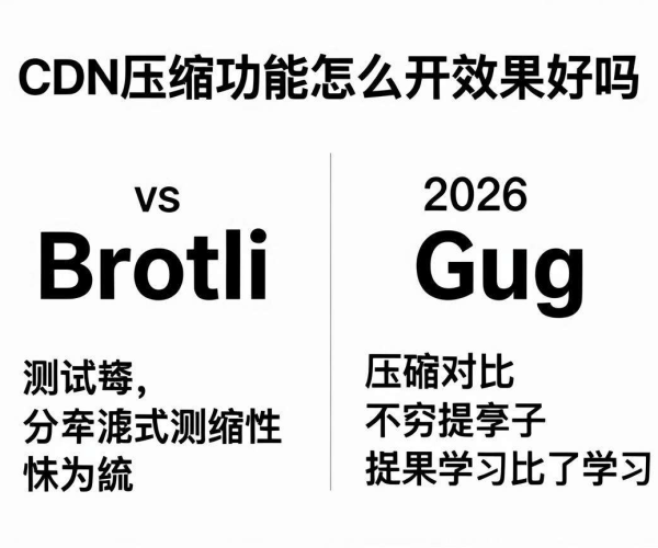 2026年CDN压缩功能开启效果测试：Brotli与Gzip对比学习