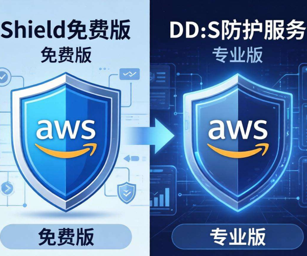 AWS Shield DDoS防护：免费版与企业版功能大对比