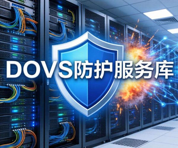 DDoS防护服务器自建高防：硬件软件预算大揭秘