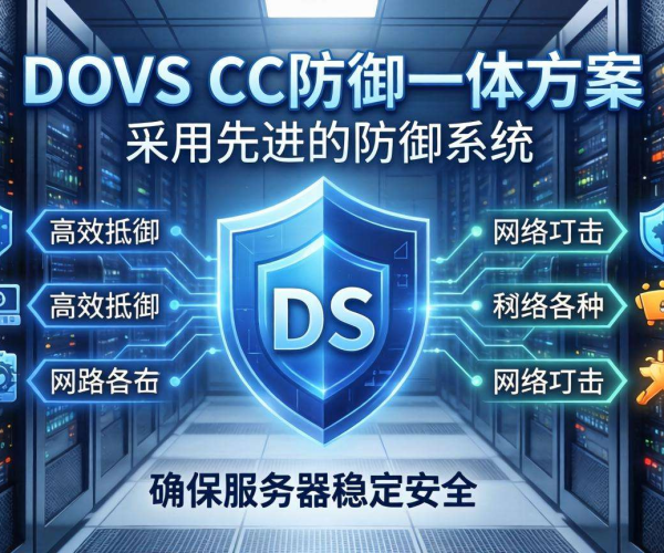 DDoS与CC防御一体方案：高防保障网络安全的理想之选