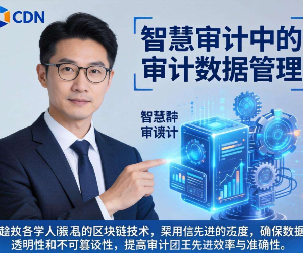 亚太CDN助力智慧审计：高效审计数据管理的创新路径