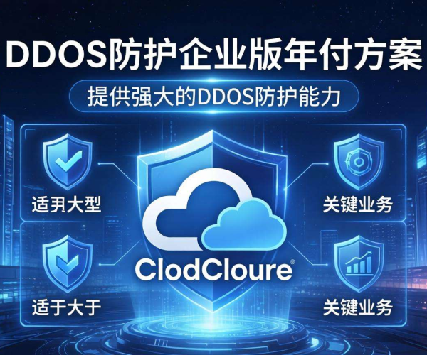 Cloudflare DDoS防护企业版年付价格大揭秘