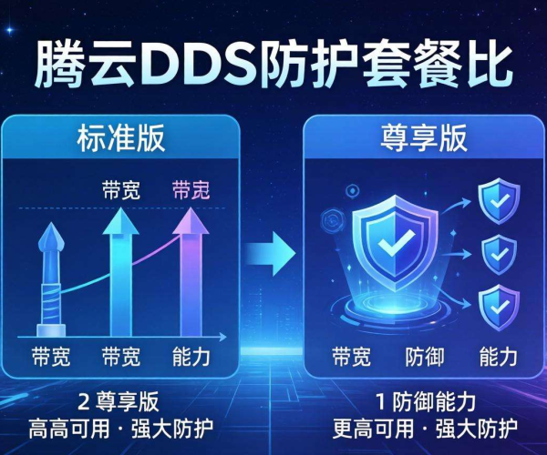 腾讯云DDoS防护套餐大比拼：与尊享版的差异全解析