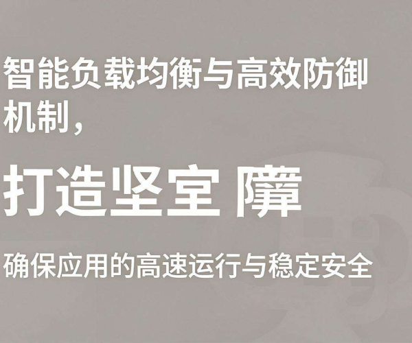 高防CDN服务商：为网络安全与高效加速保驾护航