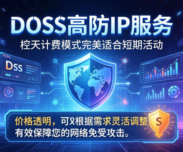 DDoS高防IP价格对比：哪家按天计费适合短期活动？