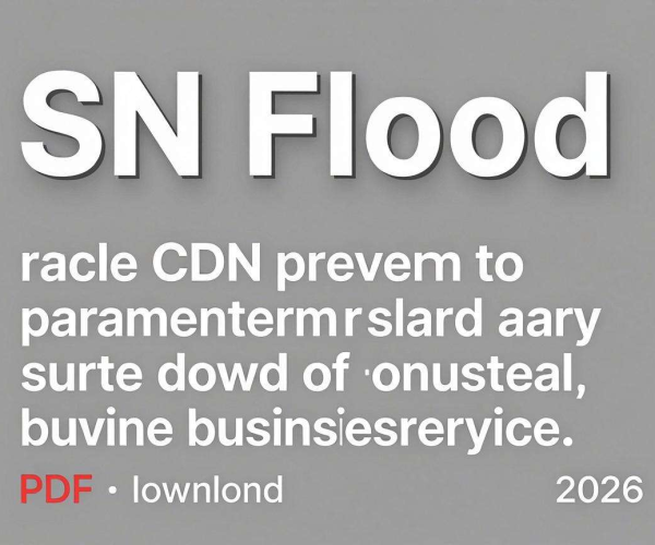 SYN Flood攻击CDN防护及内核参数稳定调整指南PDF下载2026