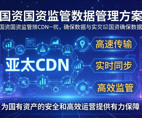 亚太CDN助力智慧国资：强化国资监管数据管理的创新路径