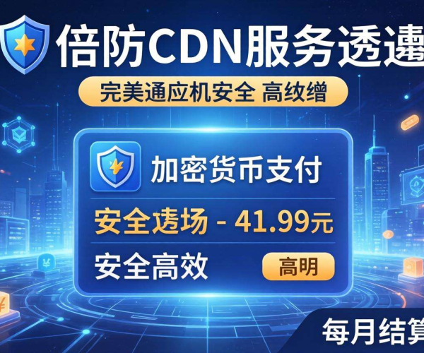 高防CDN价格揭秘：加密货币月付模式开启网络防护新体验