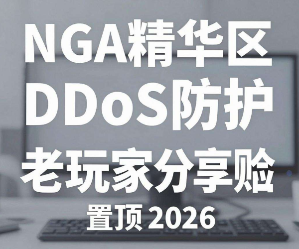 2026年NGA精华区置顶：游戏服务器DDoS防护经验老玩家分享