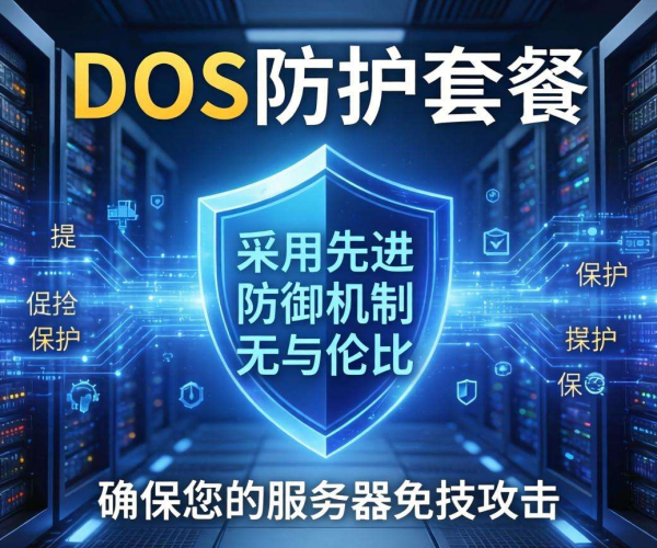 DDoS防护套餐：全方位守护，为企业网络安全筑牢坚固防线