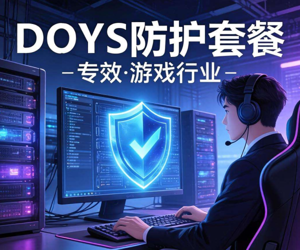 DDoS防护套餐：专为游戏行业定制的全方位规格保障