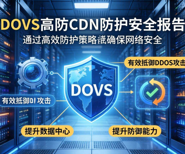 DDoS高防CDN防护安全报告：剖析现状、挑战与应对策略