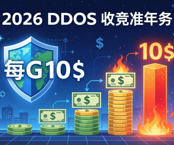 2026年DDoS防护收费标准：每G按年付费详情揭秘