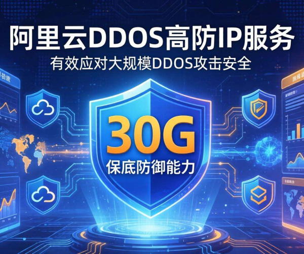 阿里云30G保底DDoS高防IP价格揭秘