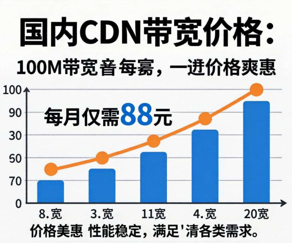 国内CDN带宽100M价格揭秘：究竟要花多少钱？